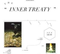Sun Araw The Inner Treaty (Vinyl LP) 12" Album