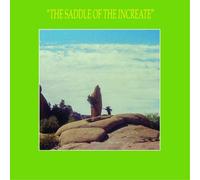 Sun Araw The Saddle of the Increate (CD) Album