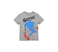 SUN CITY Sonic The Hedgehog Maglietta, T-Shirt in Cotone per Bambini e Ragazzi (IT, età, 10 Anni, Regular, Grigio)