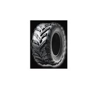 25/10 R12 70 J SUN F - A-024