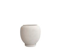 Sunao Pianta in Vaso Betulla Grande