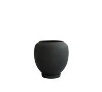 Sunao Pianta in Vaso Grande Nero
