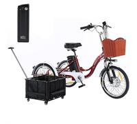 SUNBGRPYE Triciclo Elettrico per Adulti da 20", Bicicletta Elettrica A 3 Ruote con 7 velocità, con Batteria Rimovibile da 48V 12Ah (Autonomia 35-45 Km), Sedile Regolabile, Faro Anteriore E Clacson.,C