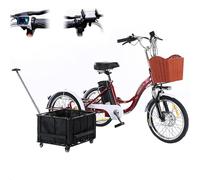 SUNBGRPYE Triciclo Elettrico per Adulti da 350W, Bicicletta A Tre Ruote da 20", Autonomia 35-40 Km/H - 48V 12Ah, Carico 150 kg | Display LCD | velocità Massima 20 Km/H, per Shopping, Picnic,C