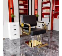 sunbiaouk Poltrona da parrucchiere, poltrone da salone con pompa idraulica regolabile, cuscino del sedile spesso e schienale confortevole, attrezzatura per salone di bellezza per parrucchieri(B)