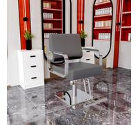 sunbiaouk Poltrona da parrucchiere, poltrone da salone con pompa idraulica regolabile, cuscino del sedile spesso e schienale confortevole, attrezzatura per salone di bellezza per parrucchieri(F)