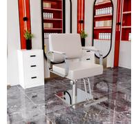 sunbiaouk Poltrona da parrucchiere, poltrone da salone con pompa idraulica regolabile, cuscino del sedile spesso e schienale confortevole, attrezzatura per salone di bellezza per parrucchieri(D)