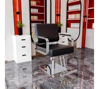 sunbiaouk Poltrona da parrucchiere, poltrone da salone con pompa idraulica regolabile, cuscino del sedile spesso e schienale confortevole, attrezzatura per salone di bellezza per parrucchieri(E)