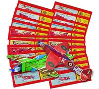 SUNCHE Aerei in Polistirolo, Alianti Volanti, Lancio Aliante, Aeroplani in Polistirolo, Aliante Volante, Giocattoli Aereo Classici, Regali di Festa a Sorpresa per Bambini, Motivi Diversi, 24 Pezzi