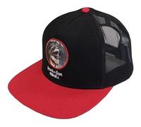 Suncity Attack On Titan Adult cap, colorato, Taglia Unica