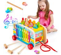 Sundaymot Giochi Montessori 3 Anni Gioco per Bambini 4 in 1 con Xilofono Pesca