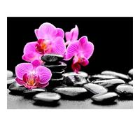 Suneve Black Stone Diamond Painting Kit,Diamond Art Kits for Adults,DIY diamond art painting for Beginner,5D Full Drill Round Diamond Gem Art Crafts for Home Wall Decor 85x105cm