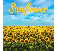 Sunflower Calendar 2027: Sunflower Blooms and Garden Scenes