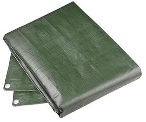 Sunflower FLOR80435 Telo di Protezione, 6 x 1.5 mt, 210 g