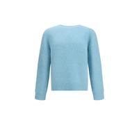 Sunflower Light Blue Alpaca Vicugna Pacos Sweatshirt - M