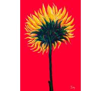 Sunflower Notebook: Authentic Journal, 9X6 in, 120 pages, Ideal for Women, Men, Kids, Teenagers with Lined Pages - Perfect to Stay Organized at School ... and Writers to Boost Pro Red Background