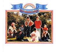 The Beach Boys Sunflower / Surf's Up (CD) Album