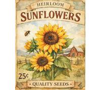 Sunflower Vintage Seed Packet Design Notebook: 8 1/2 x 11 120 Page College Ruled Composition