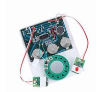 SUNGOOYUE Audiomodulo 27S con Batteria a Bottone, Controllo dei Tasti, Ideale per L'espressione dei Sentimenti Nei Campi di Cioccolato (Versione via cavo estesa)