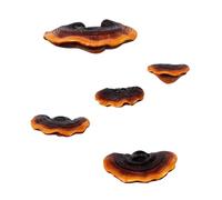 SUNGOOYUE Set di Mensole da Parete con Mini Funghi in Resina Premium, Decorazione Resistente Agli Agenti Atmosferici per il Giardino con Patio, Facile da Installare