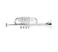 SUNGOOYUE Strumento Musicale per Giocattoli per Bambini per Bambini per L'educazione Precoce Incoraggiando i Talenti per il Gioco di Ruolo, Materiale Sicuro per i Piccoli (SILVER)