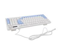 SUNGOOYUE Tastiera da Gioco RGB a 93 Tasti, Design Ergonomico Cablato con Quadrante di Controllo Multimediale e Retroilluminazione Dinamica, per Computer Desktop PC Portatile (Blu Bianco)