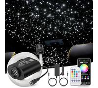 SUNKENET 6W Twinkle RGBW Fibra Ottica, 650pcs*0.75mm*4m Cielo Stellato LED Con APP Bluetooth/Remote/Controllo Musica, Fibra Ottica Cielo Stellato per Auto/Casa/Teatro