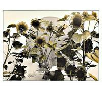 Sunlit Reflections A Nature-Inspired Journal: Capture Your Thoughts Amid the Beauty of Sunflowers and Serenity
