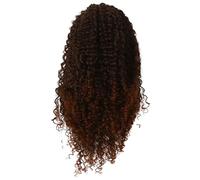 Sunmeit Parrucca Tessuta un Mano nel Piccola Area con Capelli Ricci da 16 Pollici nel Fibra per Donne Europee e Americane Parrucche Anteriori nel Pizzo da