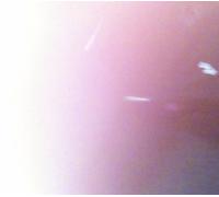 Sunny Day Service - Honjitsu Wa Seiten Nari