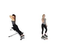 Sunny Health & Fitness Advanced Twist Stepper Machine w/Resistance Bands, Portable Mini + 45 Degree Hyperextension Roman Chair, Steel, Grey, One Size SF-BH6629