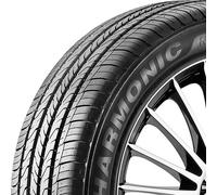Sunny Sport Macro NA305 255/35R19 96W XL