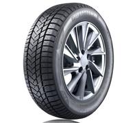 Sunny Wintermax NW211 ( 215/65 R16 98H )