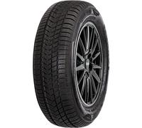 Sunny Wintermax NW211 225/55R17 101V XL