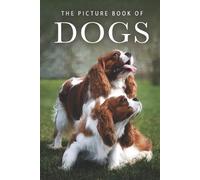 Sunny Street Books The Picture Book of Dogs (Tascabile) Picture Books - Animals