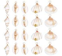 SUNNYCLUE 1 scatola 5 stili 20 pezzi Ciondoli In Conchiglia Naturale Ciondolo Conchiglia Bianca Sfuso Estate Spiaggia Ciprea Hawaii Vita Marina Capesante Ciondoli per La Creazione di Gioielli Fai Da T