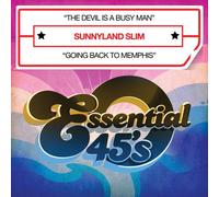Sunnyland Slim - Devil Is A Busy Man