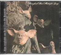 SUNNYLAND SLIM - Midnight Jump