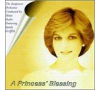Sunpower Orchestra - Princess Blessing