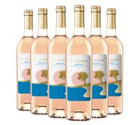 Sunrose - Pays d'Oc 2024 - Offre 5 + 1 Pays d'Oc