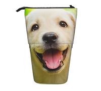 Sunset Flower Field Print Pencil Case Cute Standing Pencil Pouch Retrattile Portapenne Caso Cancelleria Bag, Smile Retriever, Taglia unica, Portamonete