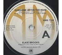 SUNSHINE AFTER THE RAIN 7" (VINYL 45) UK A&M 1977