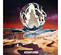 Sunshine Frisbee Laserbeam - Blackout Cowboy