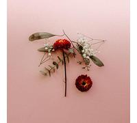 Sunsleeper You Can Miss Something & Not Want It Back (CD) Album