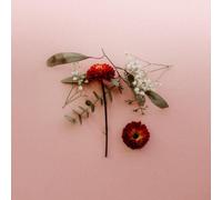 Sunsleeper You Can Miss Something & Not Want It Back (CD) Album