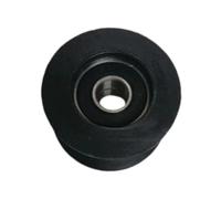 SunsoilGiant Puleggia Pressore in Nylon con Doppio Cuscinetto, Ruota di Pressione, Ricambi, Accessori Multiuso per Attrezzature Fitness Professionali, 43x25mm