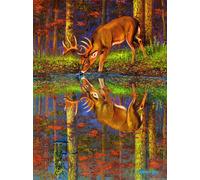 Sunsout - Puzzle Cosa c'è sotto? - 1000 Pezzi