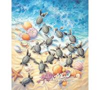 Sunsout - Puzzle Cuccioli di tartaruga verde - 550 Pezzi