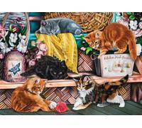 Sunsout - Puzzle Gattini giocosi - 1000 Pezzi