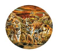 Sunsout - Puzzle Lori Schory - Tigri a bizzeffe - 500 Pezzi
